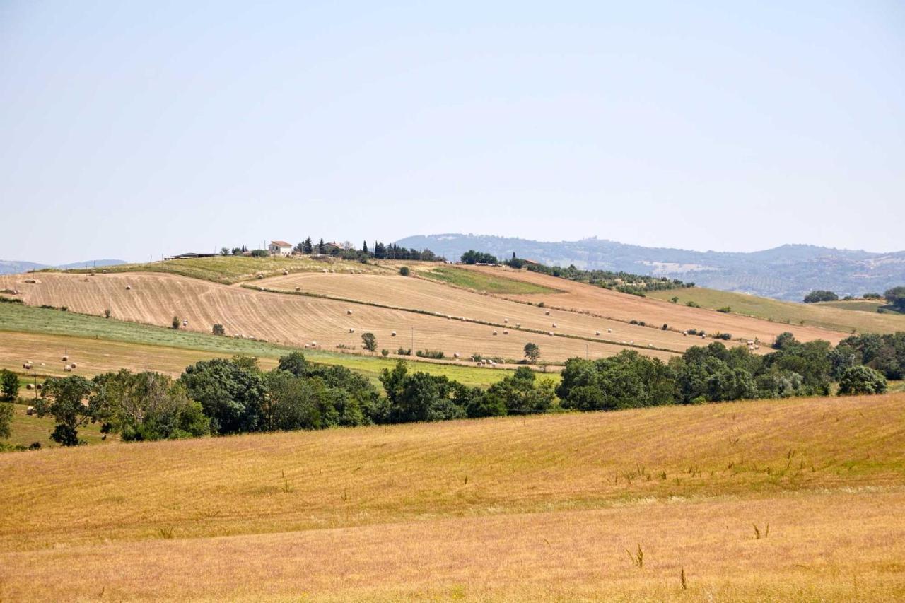 Agriturismo Montecrespini Saturnia Εξωτερικό φωτογραφία
