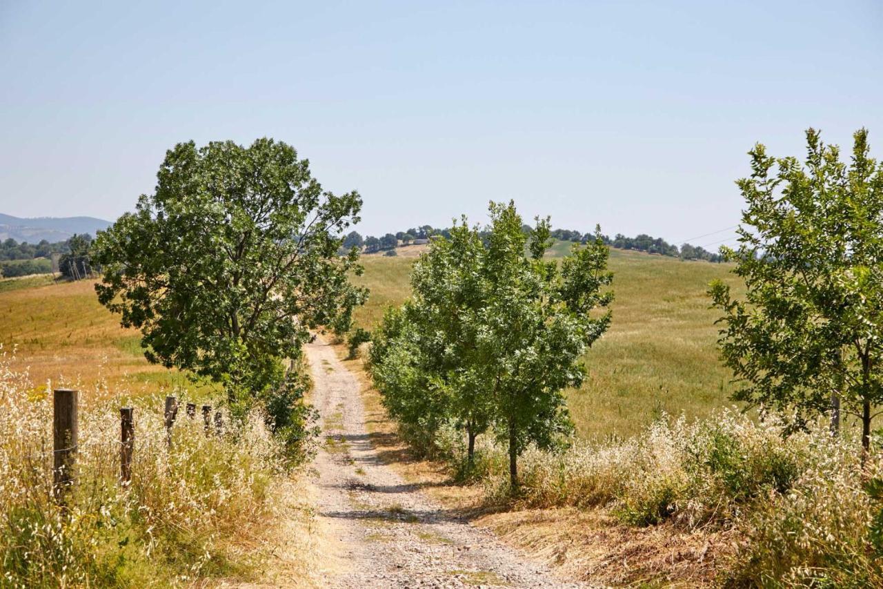 Agriturismo Montecrespini Saturnia Εξωτερικό φωτογραφία